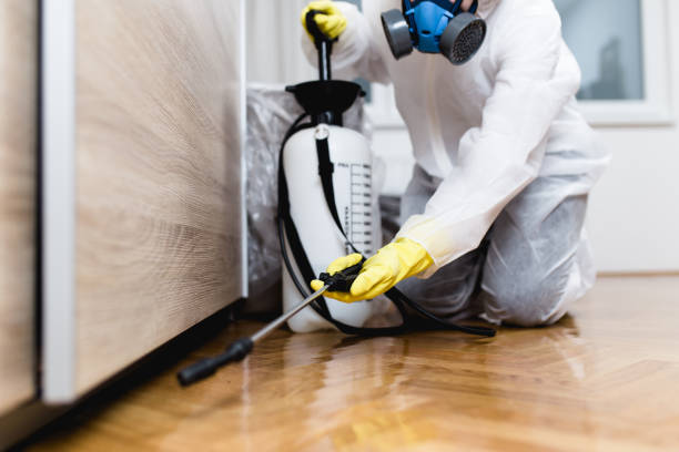 Best Residential Pest Control  in Hauppauge, NY