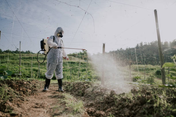 Best Mosquito Control Services  in Hauppauge, NY