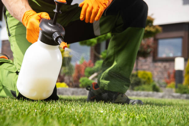 Best Pest Inspection Near Me  in Hauppauge, NY