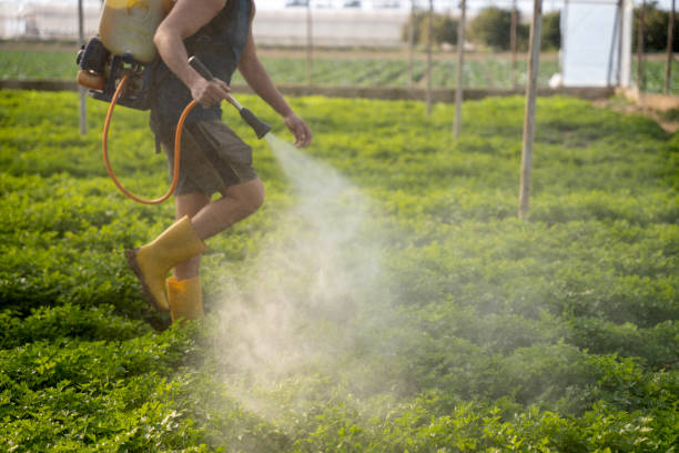 Best Affordable Pest Control Services  in Hauppauge, NY