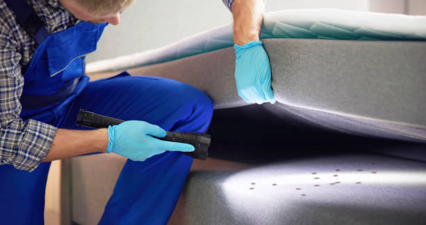 Best Pest Control Near Me  in Hauppauge, NY