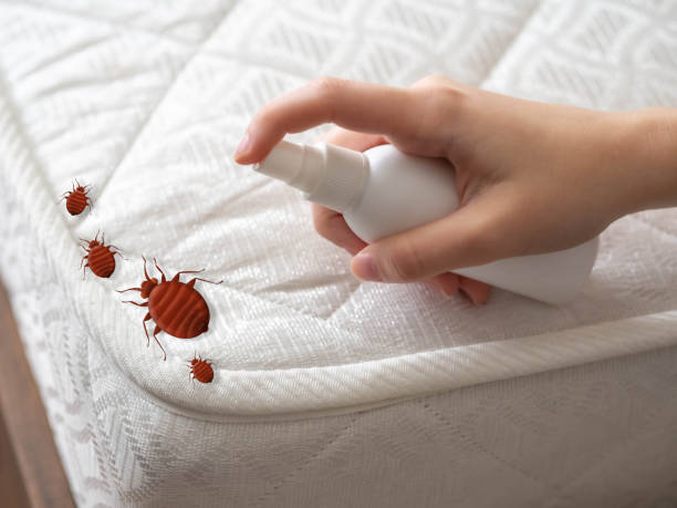 Pest Control Cost in Hauppauge, NY