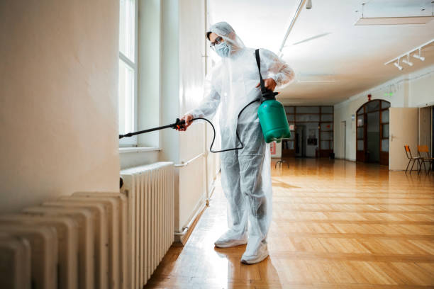 Best Bed Bug Extermination  in Hauppauge, NY