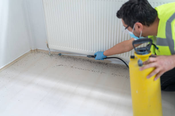 Wasp Removal Services in Hauppauge, NY