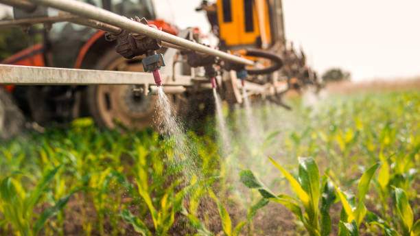 Best Commercial Pest Control Services  in Hauppauge, NY